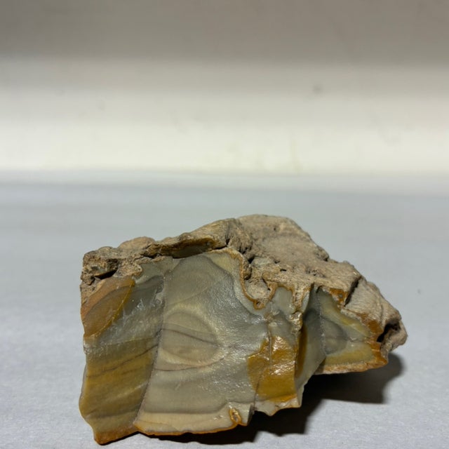 rehacer × WILD THINGS Where the Wild Things Are - Max Wacky Wobbler 7.5